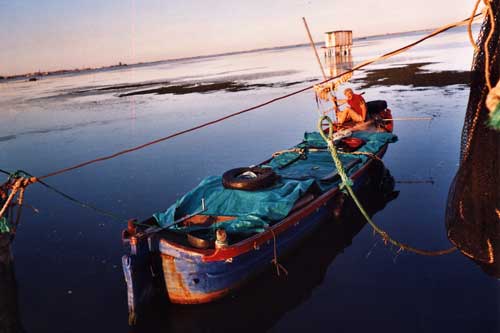 Marlene Sturz-Barca di pescatori