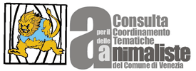 logo CCTA